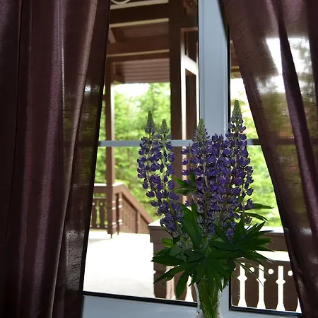 Greenwood Vysoké Tatry